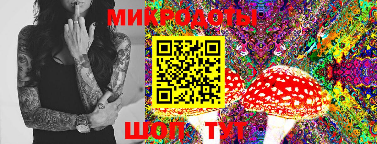 Псилоцибиновые грибы GOLDEN TEACHER Качканар