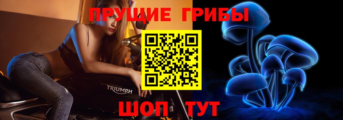 Качканар  Псилоцибиновые грибы Psilocybe  Вход с VPN 